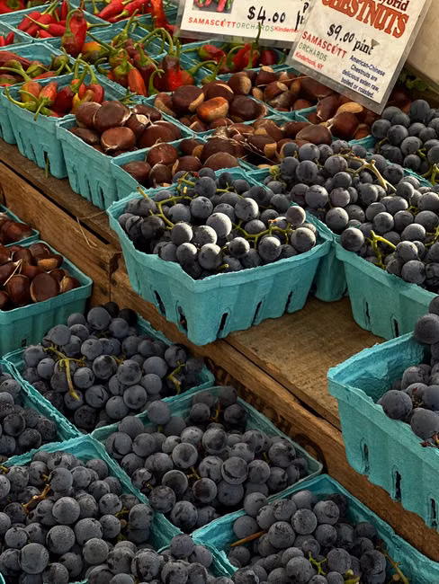 Hortifruti